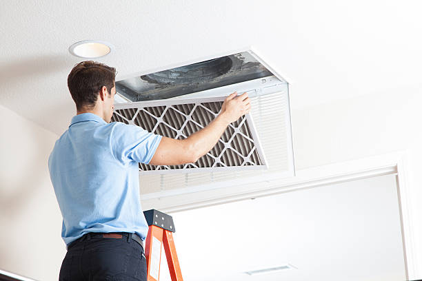 Best Air Filters and Purifiers in Manning, IA